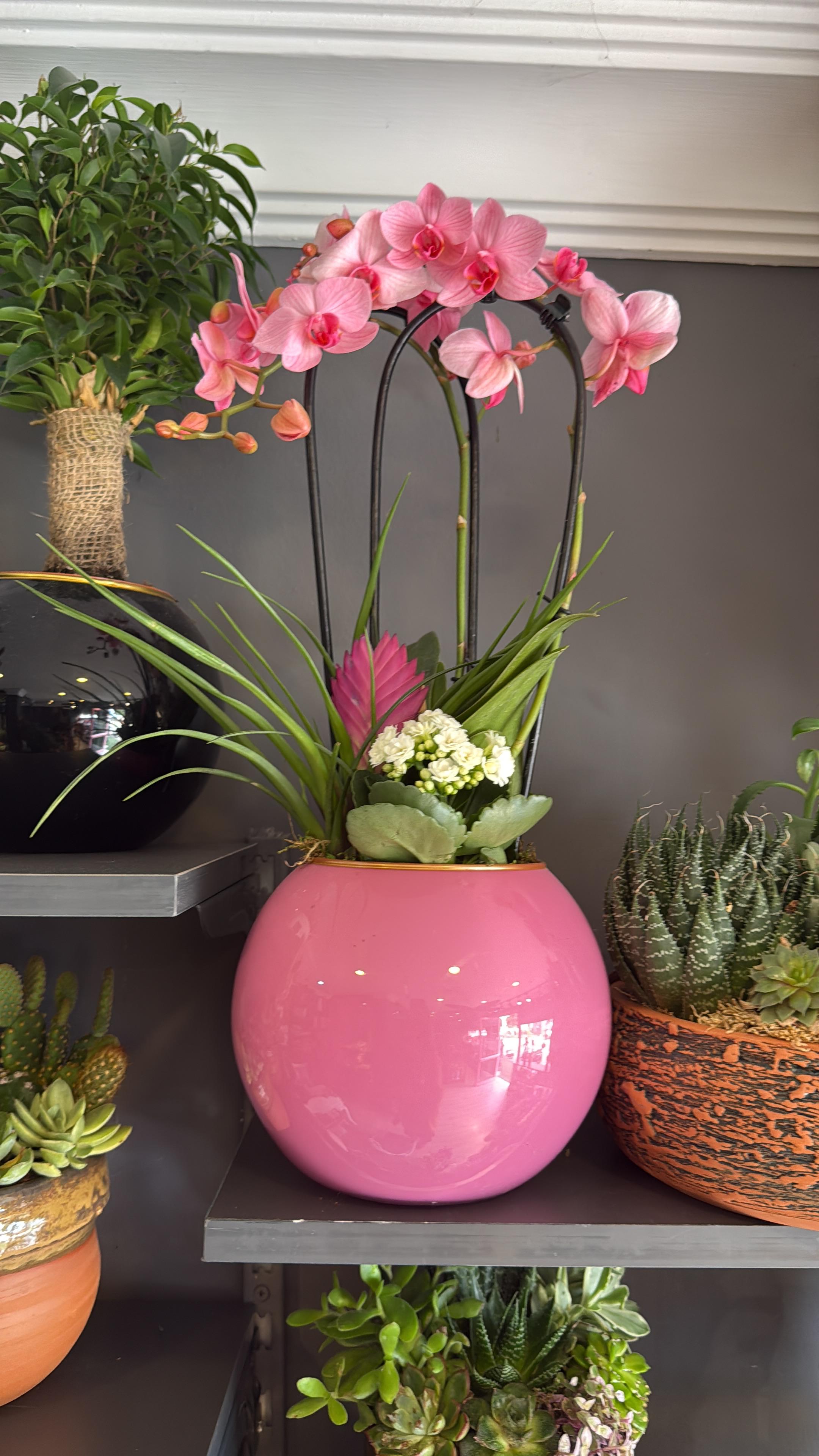 Aranjman Fanus İçinde Orkide