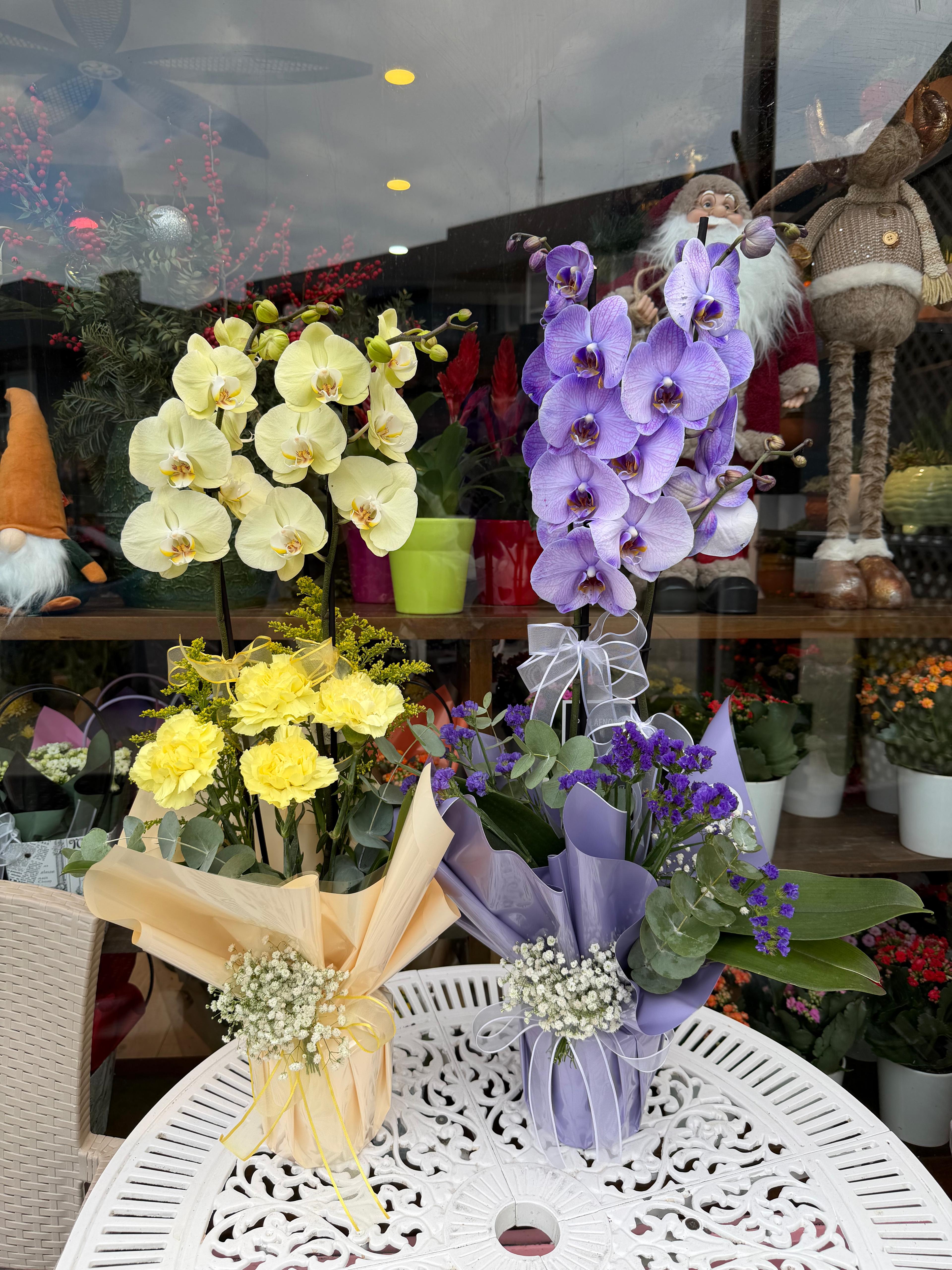 Çift Dal  Mor&Sarı İthal Orkide